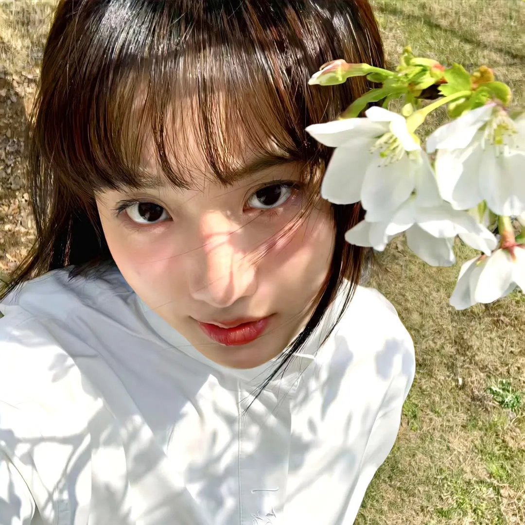 失败之翼