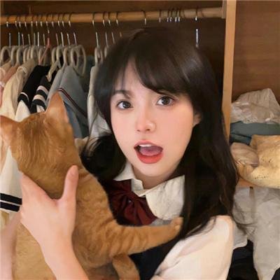 野山鹰